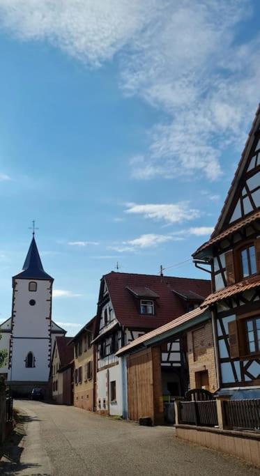 Alsace Bas-Rhin Logis Independant Avec Piscine Privee Apartment Alteckendorf Екстериор снимка